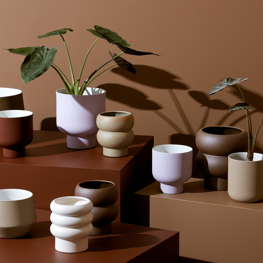 Middle of Nowhere | Billie Planter Dune Small