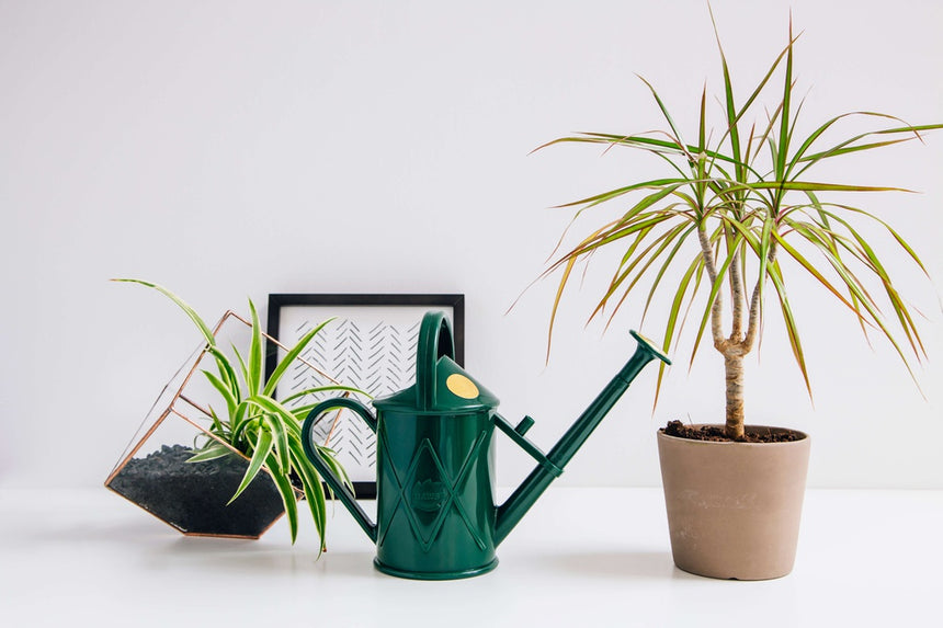 HAWS | The Bartley Burbler Plastic Watering Can - Green