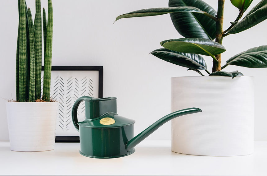 HAWS | The Fazeley Flow Watering Can - Green