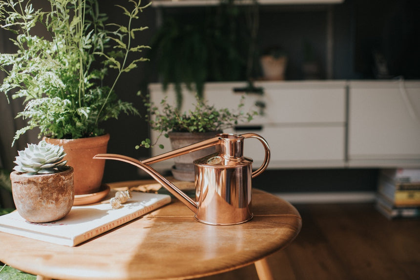 HAWS | The Fazeley Flow Copper Watering Can