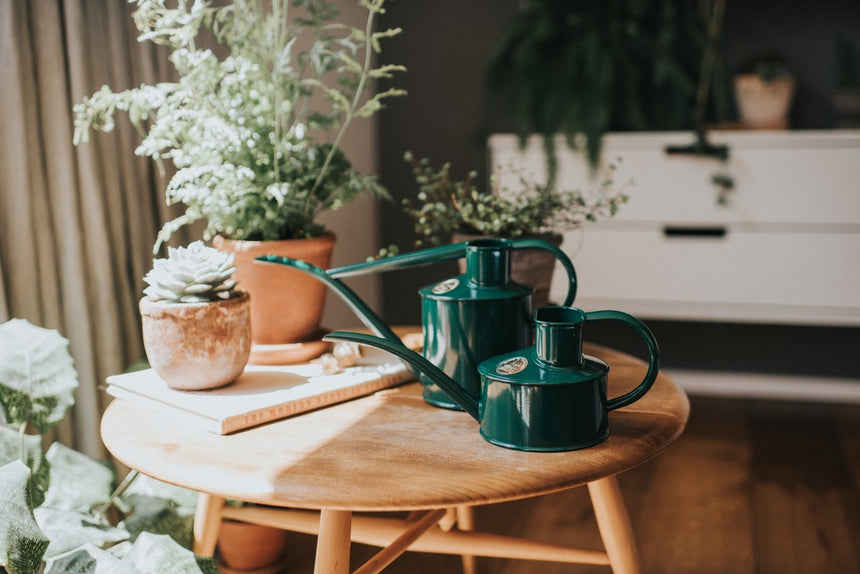 HAWS | The Fazeley Flow Watering Can - Green