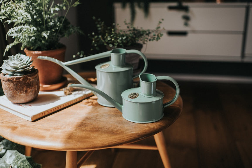 HAWS | The Fazeley Flow Watering Can - Sage Green