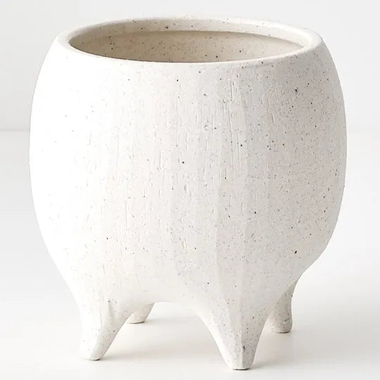 Offshoot | Alena Pot