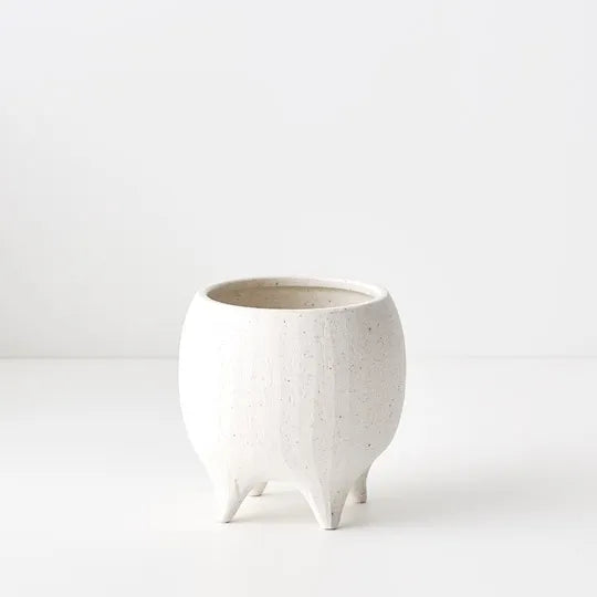 Offshoot | Alena Pot