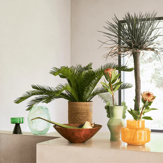 Urban Nature Culture |  Circulo Vase