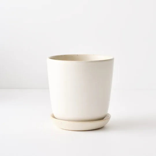 Offshoot | Gerti Pot with saucer