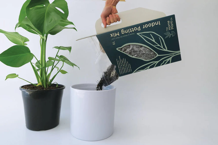 The Home Plant Co. | Indoor Potting Mix 6L