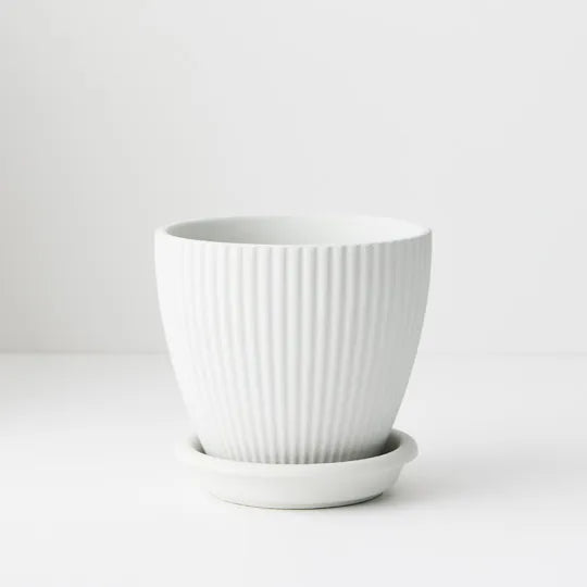 Offshoot | Johanna Pot with saucer