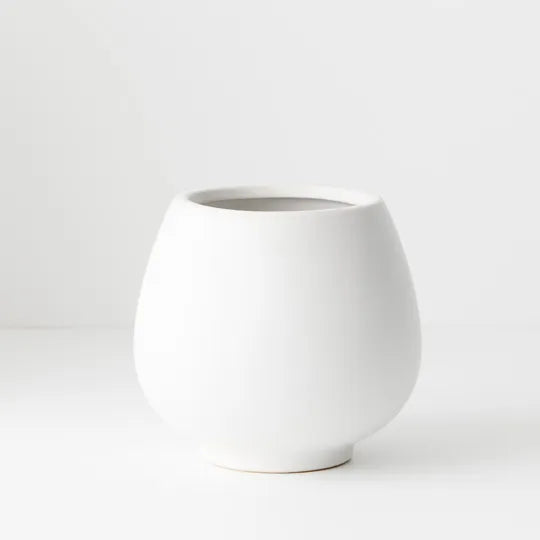 Offshoot | Klara Pot