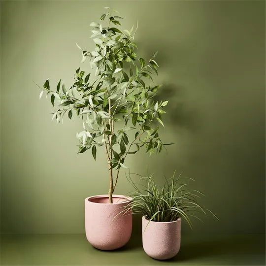 Offshoot | Cenzo Egg Planter Pink