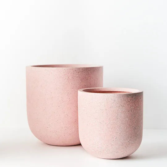 Offshoot | Cenzo Egg Planter Pink